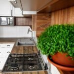 Kitchen interior with modern cabinets and green plants