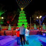 113922 holiday family tree lights