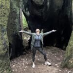 large tree trunk in Mendocino California