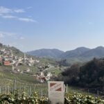 CaSalinaViews in Prosecco Road
