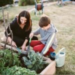 Vegetable garden