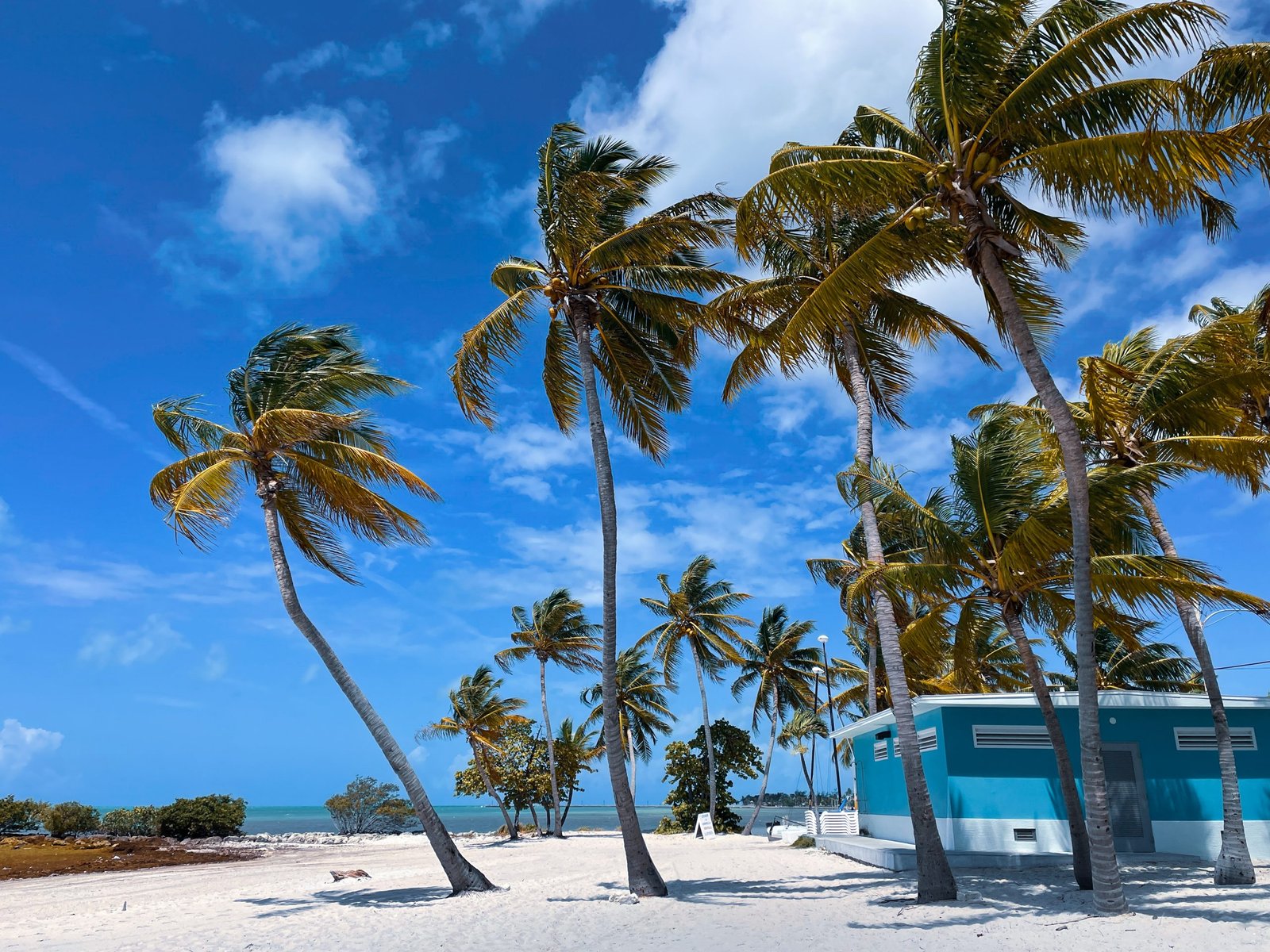 Empty Smathers Beach, Key West, Florida, blue building tall palm coconut trees, tropical paradise