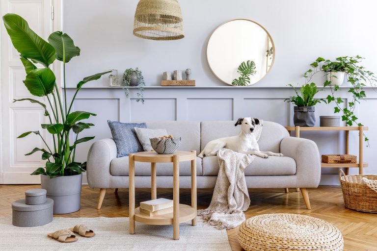 Interior design of living room