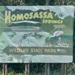 HomosassaSprings