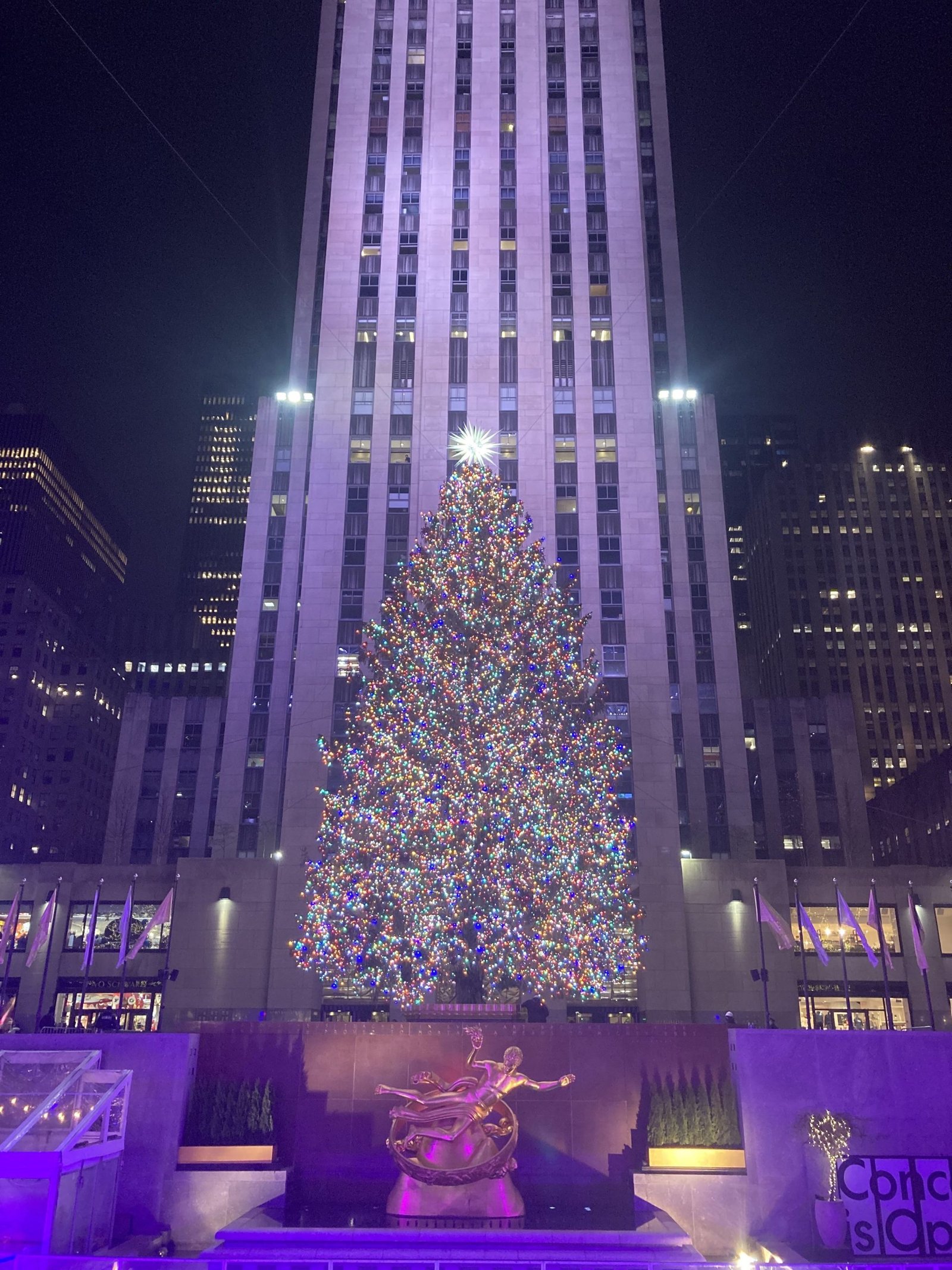 RockfellerTreeNYCPlaza