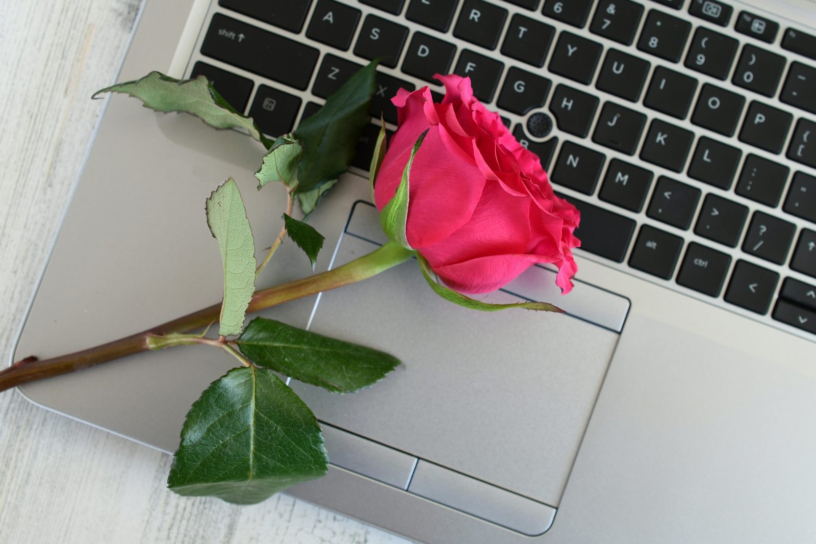 Level Up Your Love: Creative Birthday Surprises for Your Online Partner Concept online dating - rose on laptop computer keyboard