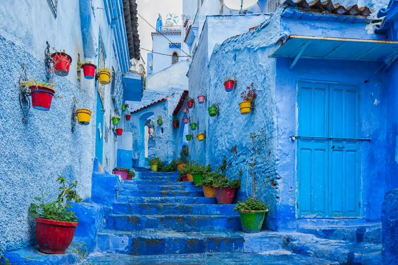 a blue painted buildings with pots of plants in Chefchaouen Morocco