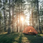 Camping tent in the middle of the woods during summer.