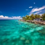 Tropical beach in Maldives with palm trees and vibrant lagoon
