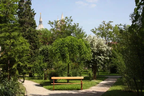 a wooden bench sitting in the middle of a park in Botanical Gardens in Padua
