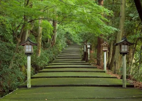 a long path lined with lanterns in a forest at Mount Hakusan in Japan.