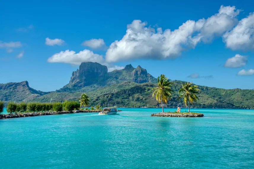 Palm trees line the shoreline of Pianosa Island