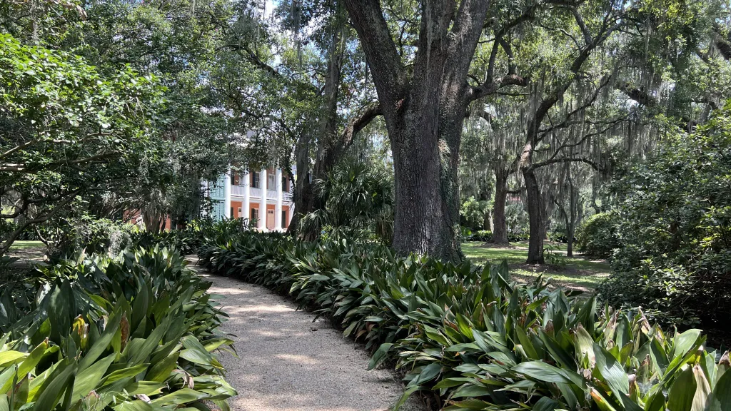 Shadows On Teche Grounds path through a lush green park with trees