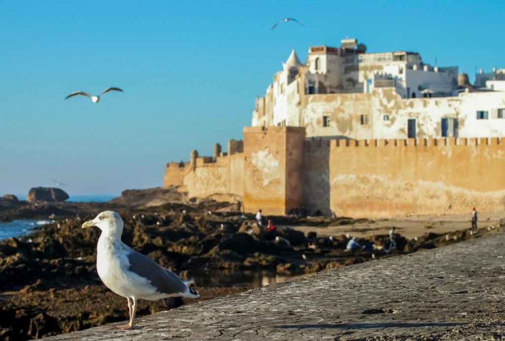 What to Visit in Morocco? Top Must-Visit Spots City of Essaouira in Morocco
