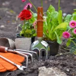 a garden with flowers and gardening tools on the ground