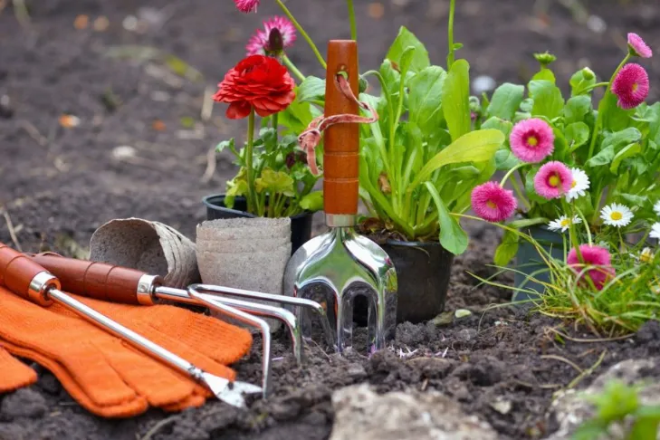 a garden with flowers and gardening tools on the ground