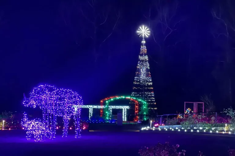 a lit up christmas display with an elephant and a christmas tree in the background in Natchitoches Louisiana Christmas Festival.