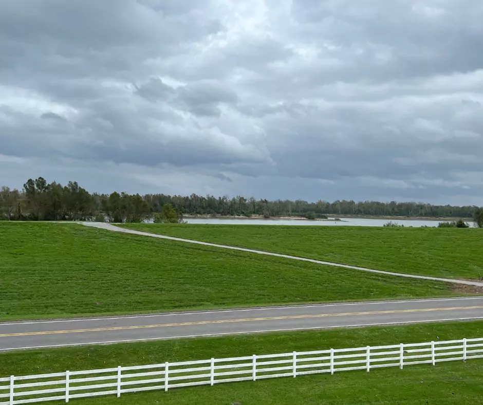a road with a white fence and a field of grass of Nottoway Plantation