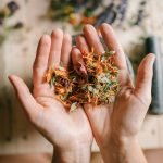 a person holding a handful of dried flowers