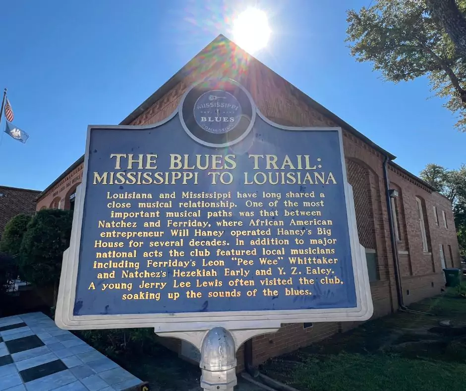 The Delta Blues