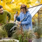 Young couple prune a round bush with scissors in garden