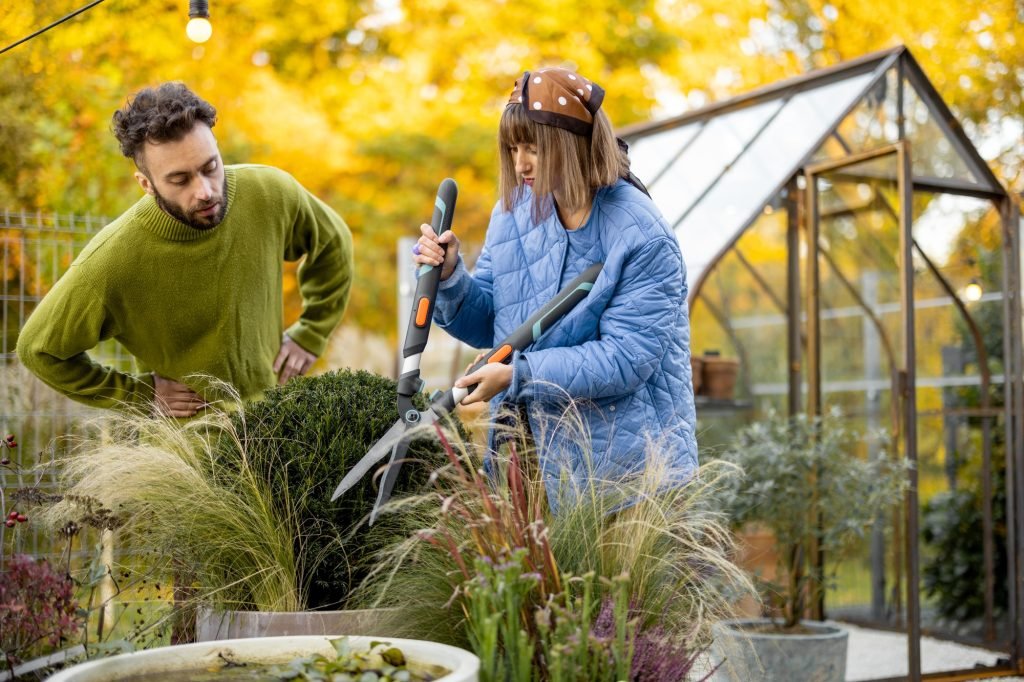 Young couple prune a round bush with scissors in garden