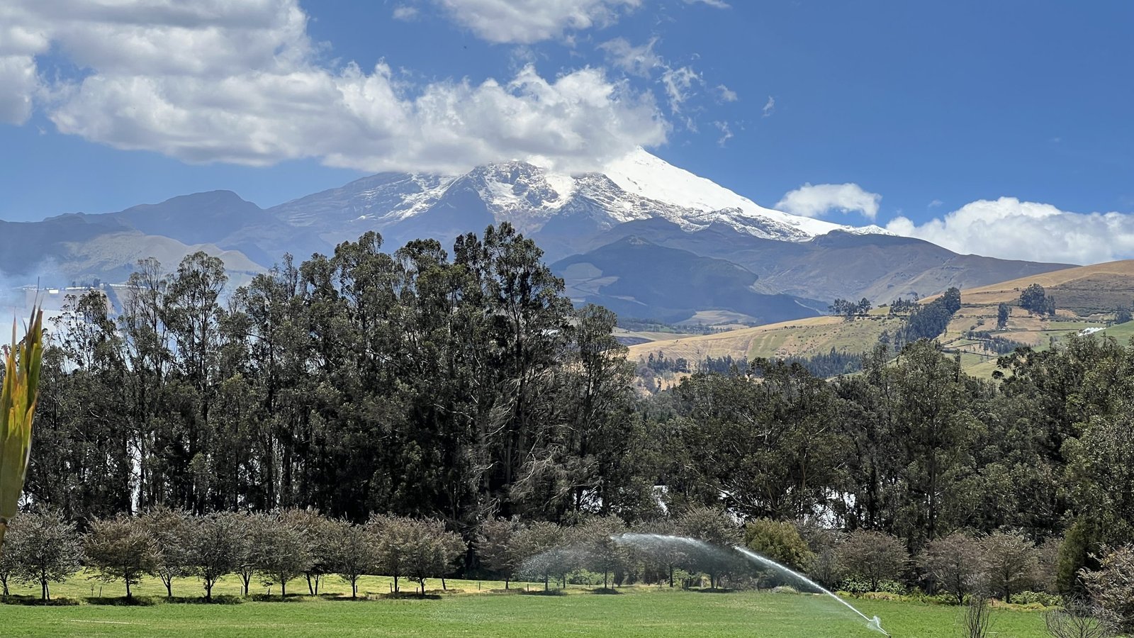 Scenic view of a snow-capped mountain behind tall trees, lush green fields, and a sprinkler, under a partly cloudy blue sky in Ecuador. 
