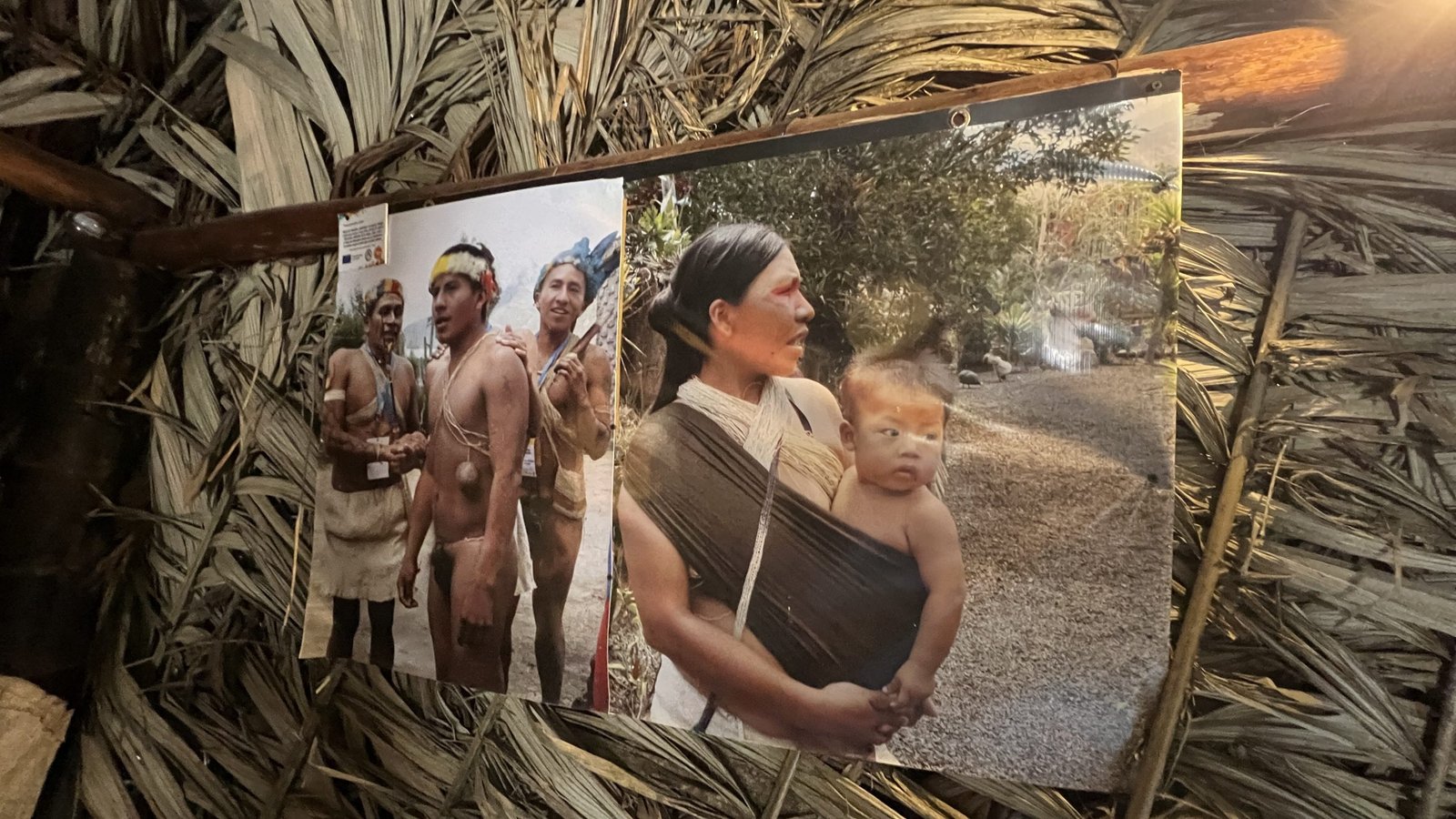 Photos of indigenous people, including a mother with a baby, displayed on a wall of palm thatch.