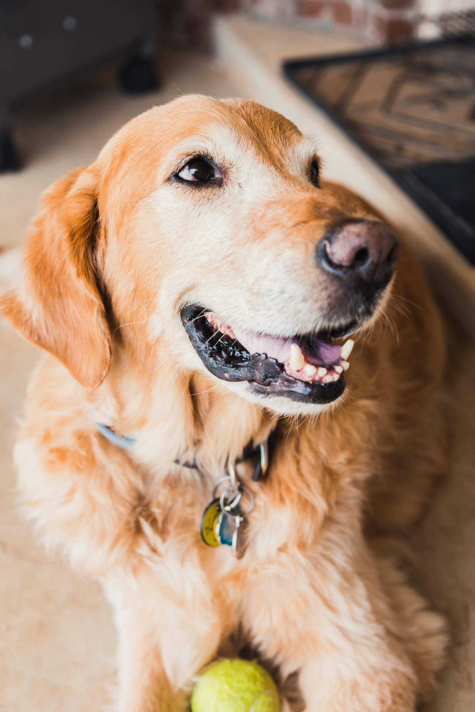 ian dooley 5KmrpfJiTSc unsplash
