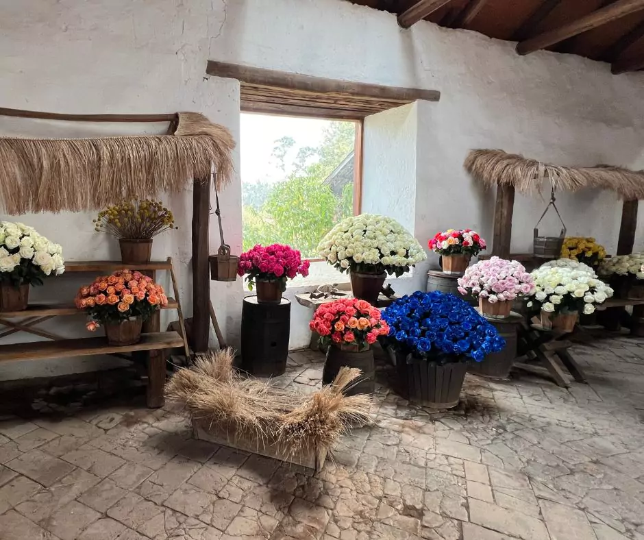 Ecuador roses at Hacienda el molino