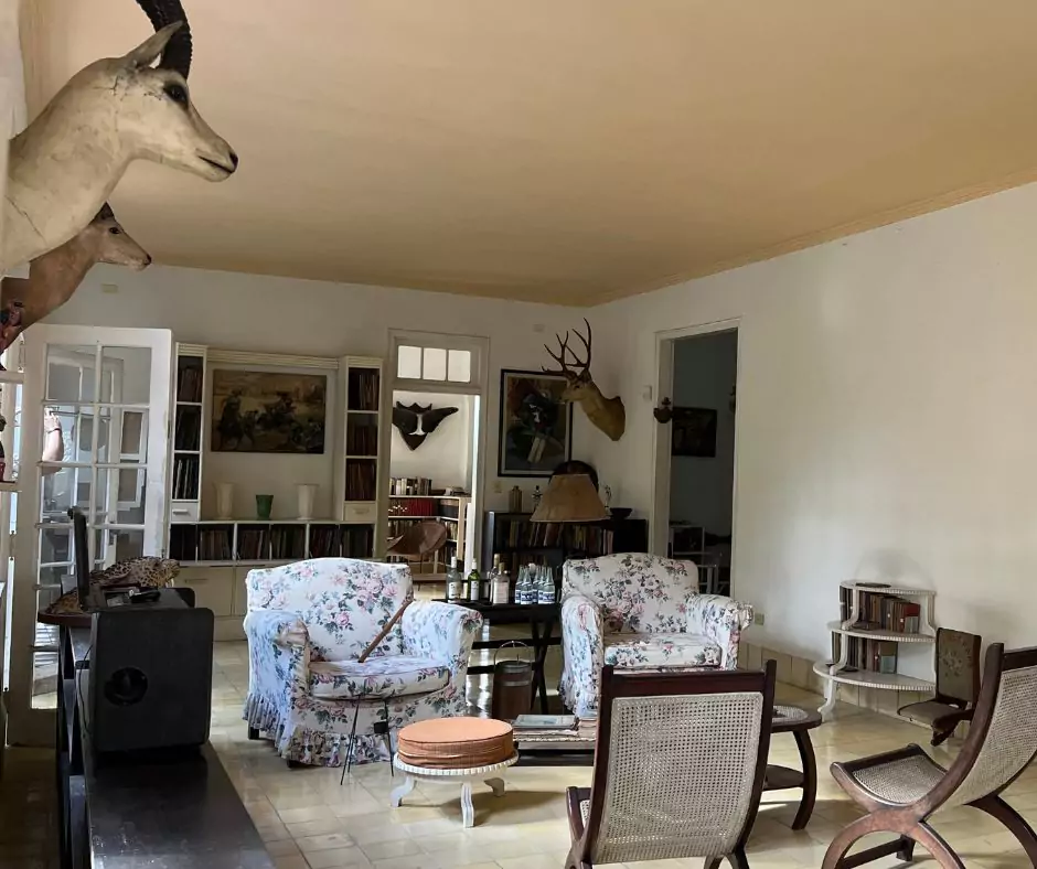 Spacious living area with mounted animal heads, floral armchairs, bookshelves, and a central coffee table in hemingway's home in cuba.