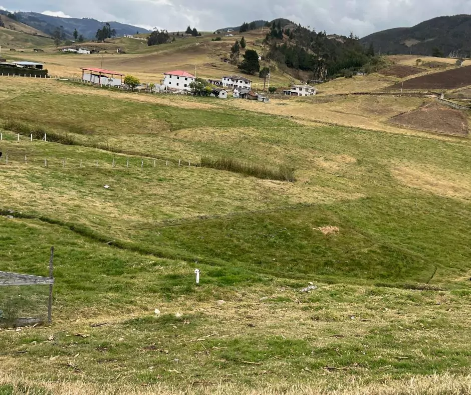 a grassy field with a house in the background