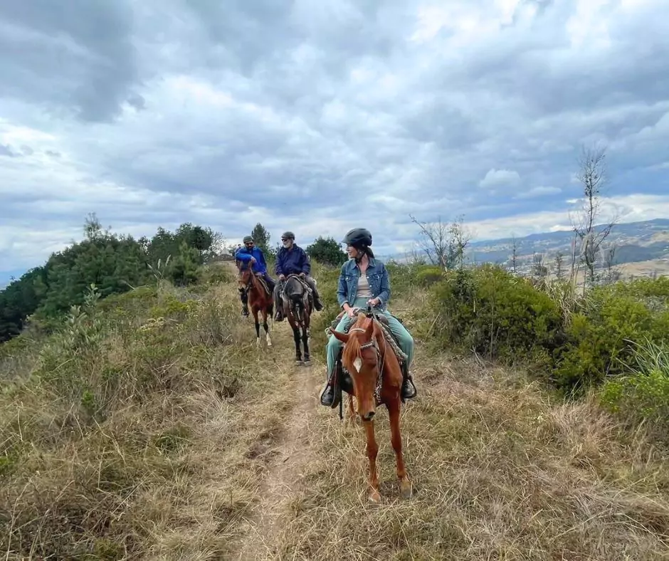 people riding horses on a trail