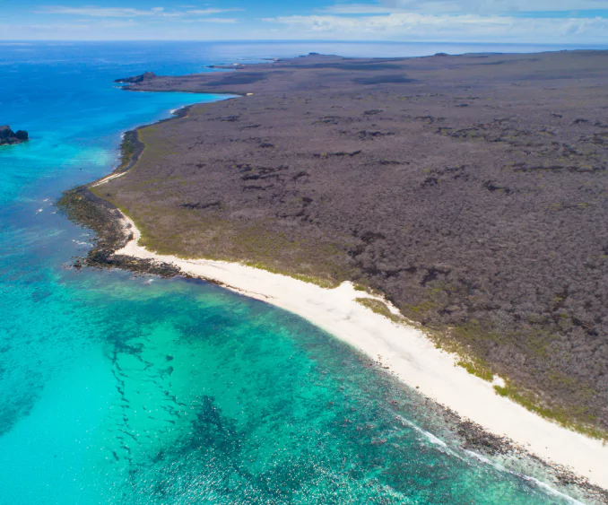 Aerial view of a pristine white sand beach with clear turquoise waters and rugged, volcanic terrain on the Galápagos Islands.