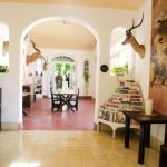 Hemingway's Cuba - A bright and spacious room inside Ernest Hemingway’s Finca Vigía in Cuba, featuring white archways, mounted antelope heads, and a bookshelf filled with magazines and books. The room has a mix of rustic and elegant decor, with wooden furniture, tiled floors, and natural light streaming in through large windows. In the background, visitors can be seen exploring the home, which remains preserved as a museum showcasing Hemingway’s life and legacy.
