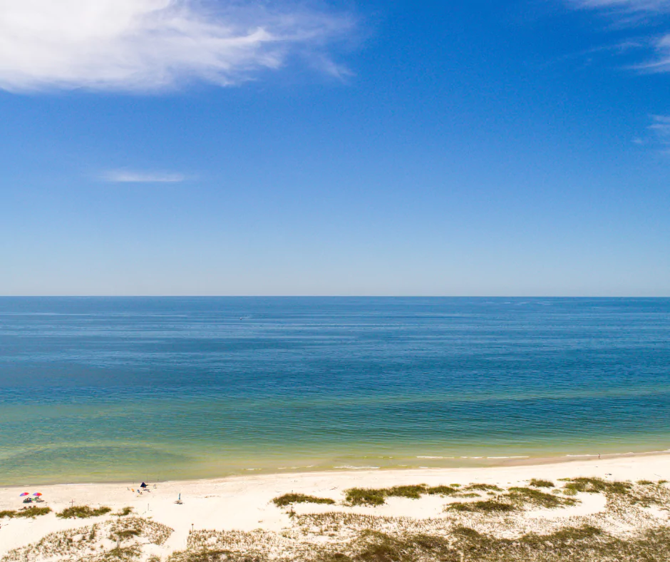 A breathtaking view of Perdido Key Beach with clear blue skies and calm turquoise waters stretching to the horizon. The white sandy shoreline is dotted with small beach umbrellas and a few visitors enjoying the peaceful coastal setting. Gentle waves lap against the shore, while patches of coastal vegetation add natural beauty to the foreground. The tranquil Gulf of Mexico reflects the bright sunlight, creating a serene and picturesque beach scene.