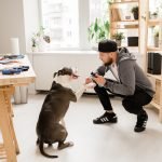 Casual guy squatting while playing with his pet at home by workplace