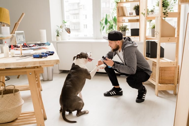 Casual guy squatting while playing with his pet at home by workplace