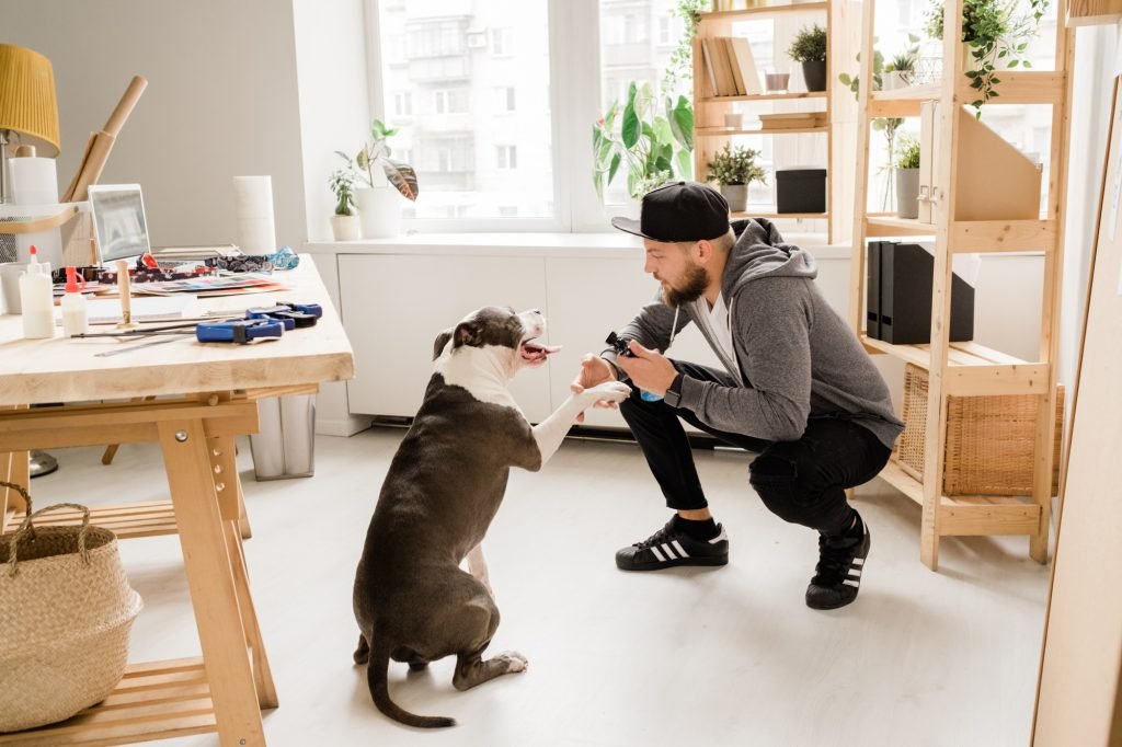 Casual guy squatting while playing with his pet at home by workplace