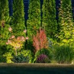 Illuminated Matured Backyard by LED Outdoor Garden Lighting