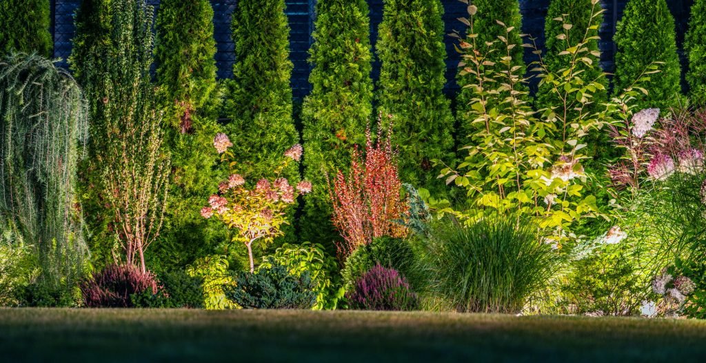 Illuminated Matured Backyard by LED Outdoor Garden Lighting