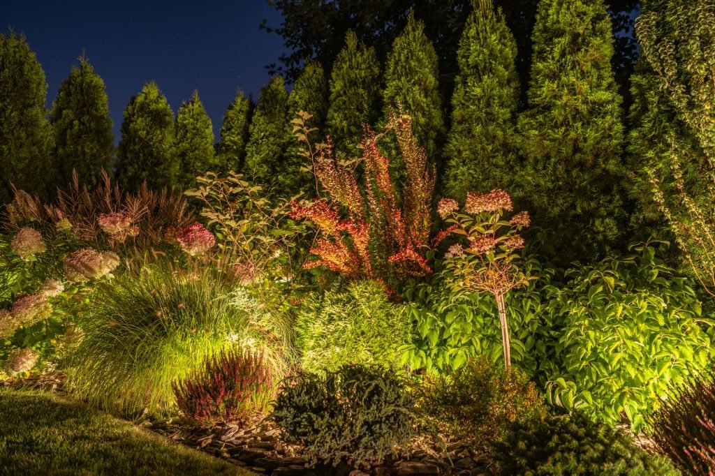Back Yard Garden Illuminated by Modern LED Lighting System