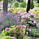 Beautiful flower garden