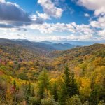 Great Smoky Mountains National Park, Tennessee, USA at the Newfound Pass