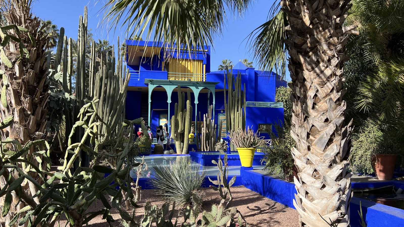 Vibrant blue buildings and desert plants at Jardin Majorelle in Marrakech, a must-visit garden often featured in a 2 day in Marrakech itinerary.