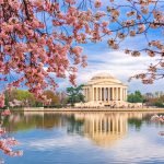 Washington DC Spring
