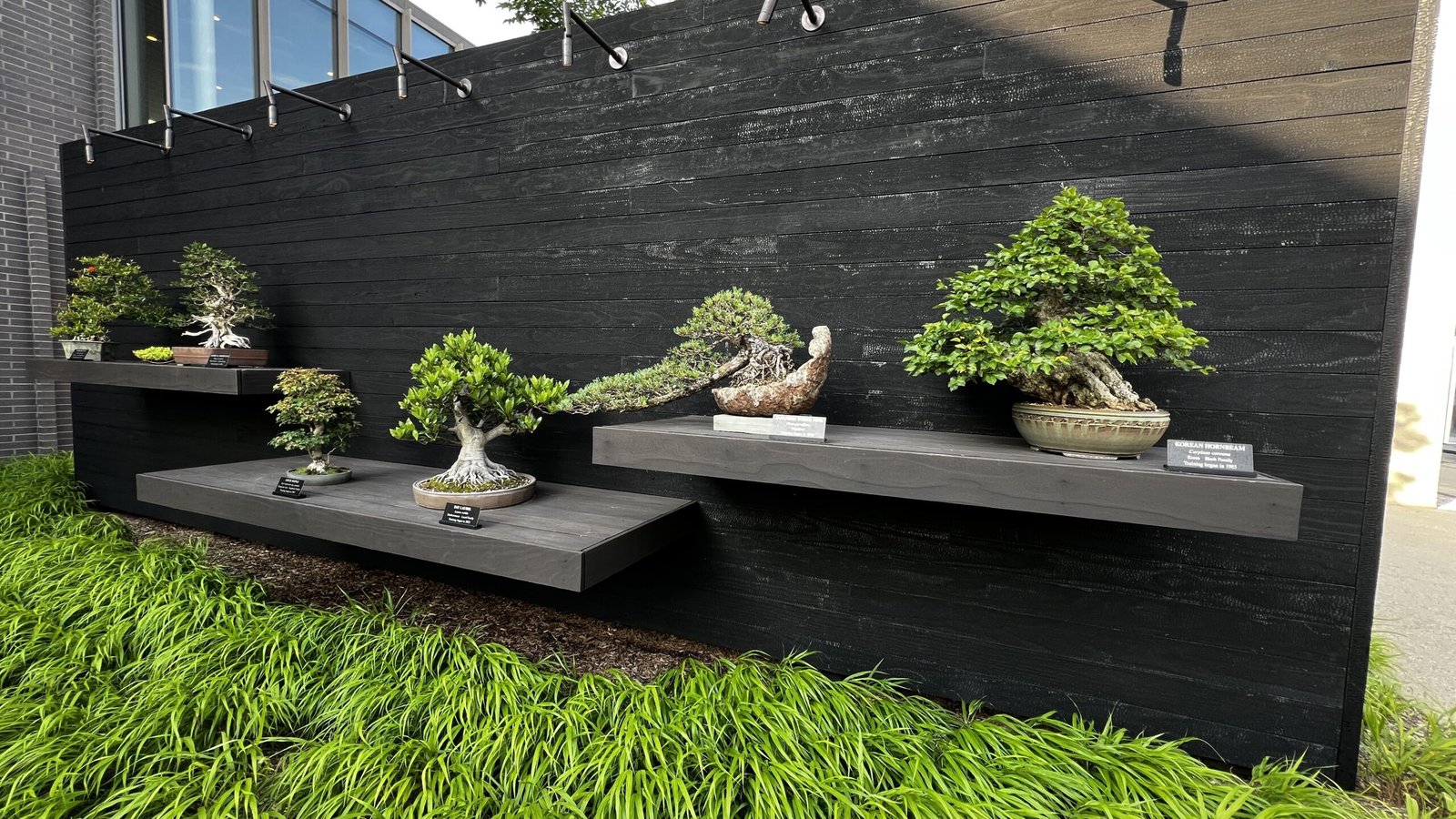 LongwoodBonsaiCourtyard