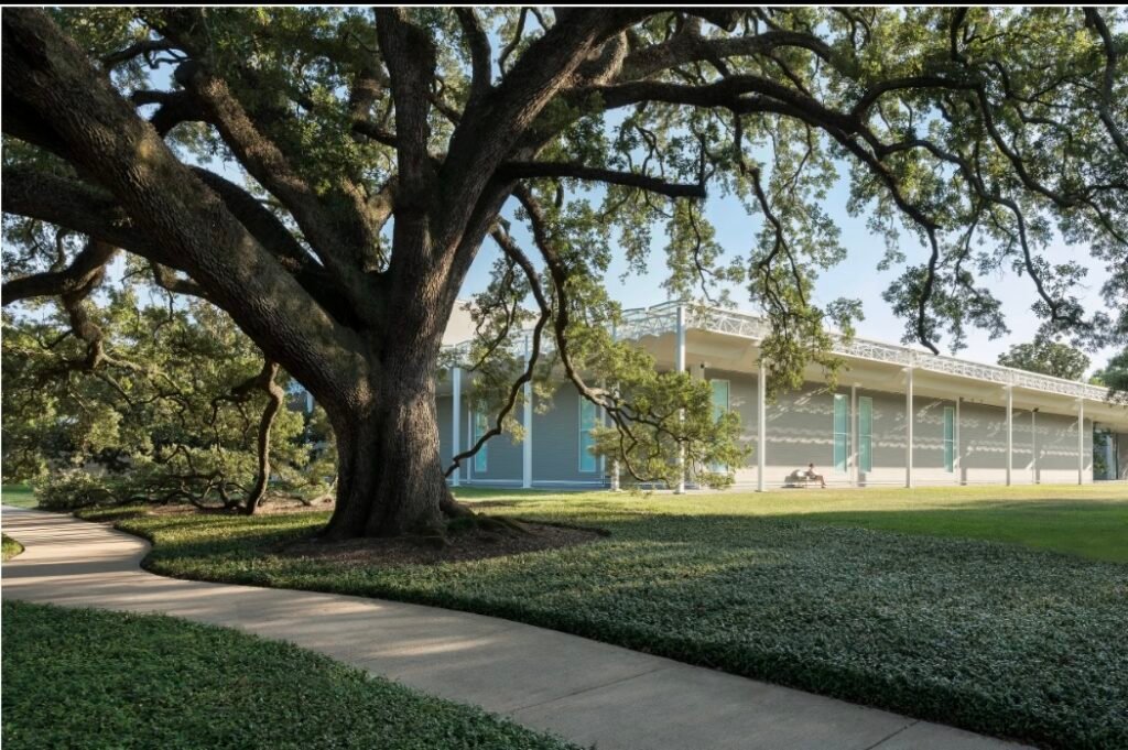 Exterior of the Menil Collection museum in Houston, framed by a large heritage oak tree and lush landscaping.