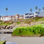Coastal houses on the beach with palm trees.