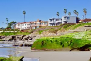 Coastal houses on the beach with palm trees.